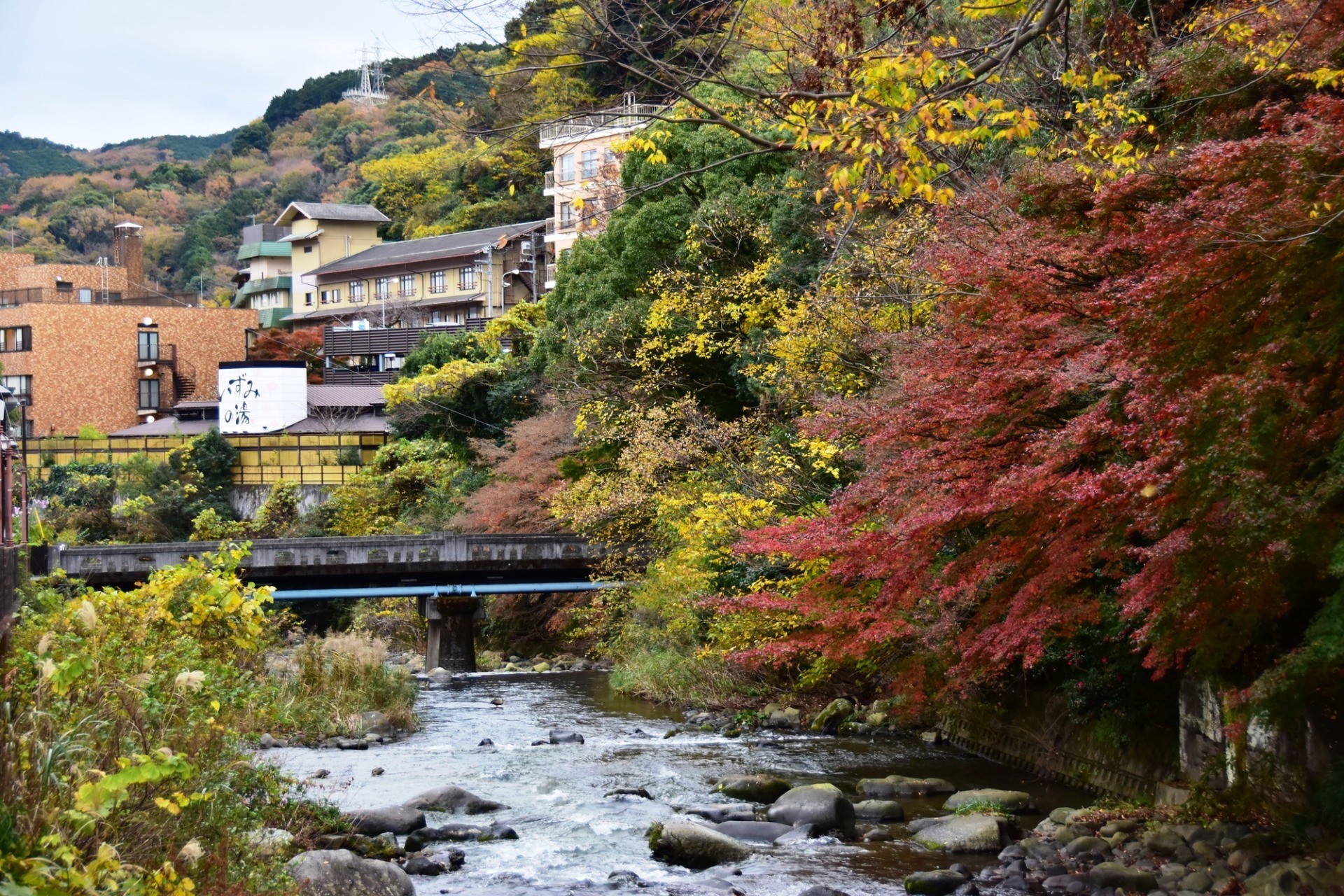 湯河原中央温泉病院_自然に囲まれた穏やかな環境 湯河原中央温泉病院_自然に囲まれた穏やかな環境